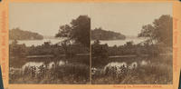 South from the River Road.