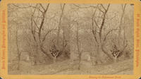 Ormiston Glen E. Park.