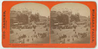 Instantaneous view of Elm Avenue, Philadelphia, July 4th 1876.