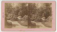 [Rustic footbridge in Fairmount Park, Philadelphia, Pa.]