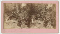 Landsdown rustic bridge.