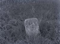 Mason & Dixon Line stone marking boundry between Delaware & Maryland, on farm of Dr. H. A. Cleaves of Wilmington (Baker.) Side showing arms of Wm. Penn. Probably the 75-mile stone. [graphic].