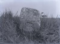 [Mason & Dixon Line stone marking boundry between Delaware & Maryland, on farm of Dr. H. A. Cleaves of Wilmington (Baker.) Side showing arms of Lord Baltimore.] [graphic].